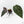 Anthurium Minerva '20' x Dark & Handsome '9' by DocBlock® (wk18-K)