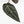 Anthurium Minerva '20' x Dark & Handsome '9' by DocBlock® (wk18-K)