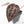 Anthurium Minerva '20' x Minerva '20' by DocBlock® (wk23-B) *Red Veins*