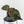 Anthurium Minerva '20' x  Minerva '20' by DocBlock (wk40-L327)