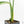 Monstera 'Croatii' (wk15-C)