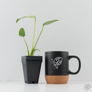 Monstera Deliciosa 'Devil Monster'