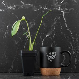Monstera deliciosa 'Devil Monster' (wk43-U186)