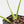 Monstera Deliciosa 'Electrolyte' (wk16-UN)