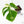 Monstera Deliciosa Mint Variegated NOID (Intermediate Form) (wk18-B)