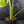 Monstera deliciosa 'Miracle' (wk43-U181)