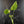 Monstera Deliciosa 'White Snow' (wk42-U113)