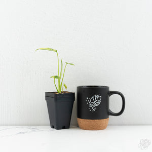 Monstera deliciosa 'Electrolyte' *Grower's Choice*