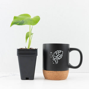 Monstera Deliciosa 'Light Lime' (wk31-UJ)