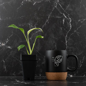 Monstera Lechleriana Albo Variegated