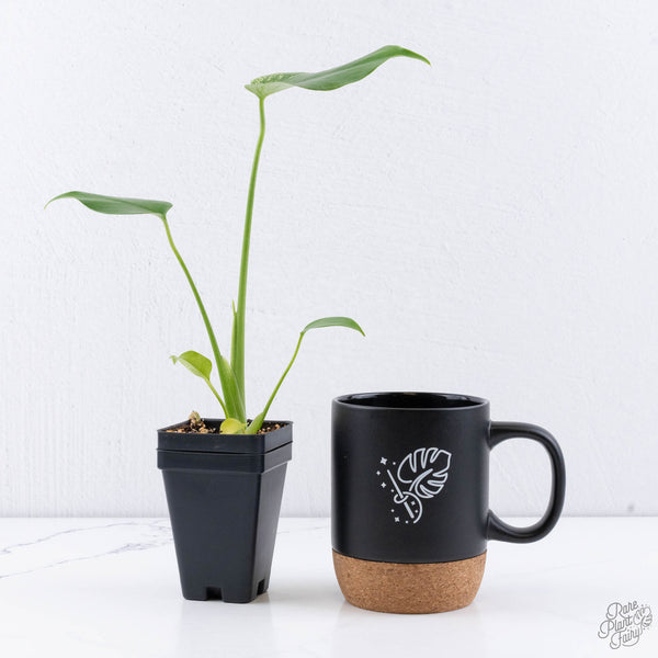 Monstera deliciosa 'Devil Monster' (wk11-UV)