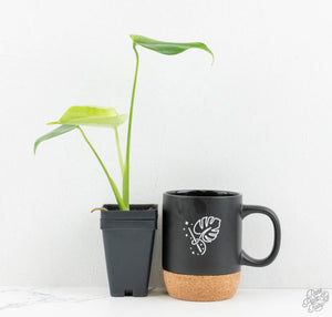 Monstera deliciosa 'Devil Monster' (wk13-UK)