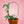 Mossify® Metal Trellis