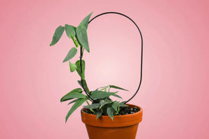 Mossify® Metal Trellis