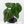 Anthurium sp. 'RPF Living Wall' Phantom