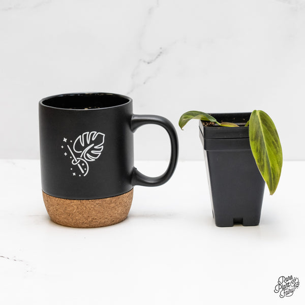 Philodendron Gigas Variegated (wk3-UC)