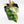 Philodendron 'Billietiae' albo variegated (wk36-U63)