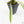 Philodendron Bipinnatifidum 'Tortum' Albo Variegated (wk24-F)