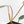 Philodendron 'Brown Beauty' ('Black Billietiae' x 'Florida Beauty') (wk39-L295)