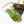 Philodendron 'Brown Beauty' ('Black Billietiae' x 'Florida Beauty') (wk35-L200)
