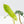 Philodendron 'Burle Marx Snow’ (wk23-E)