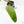 Philodendron Domesticum Marble Variegated (wk17-M)