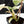 Philodendron 'Emerald Ice' (wk38-L274)