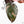 Philodendron erubescens 'Pink Princess' (wk24-I) - Legacy