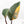 Philodendron 'Firebird' Variegated (wk17-UF)