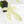 Philodendron 'Florida Beauty' Albo Variegated (wk30-UC)