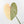 Philodendron Gloriosum Albo Variegated *Type 1* (wk26-UK)