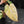 Philodendron Gloriosum Marble Pink Variegated *Type 4* (wk42-U50)