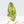 Philodendron Gloriosum Variegated *Type 2* (wk29-C)