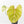 Philodendron Gloriosum Marble Pink Variegated *Type 4* (wk35-U124)