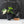 Philodendron Hederaceum Albo Variegated 