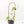 Philodendron Hederaceum Albo Variegated 
