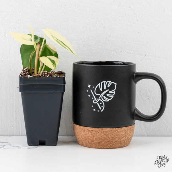 Philodendron Hederaceum Albo Variegated Heartleaf (wk3-A)