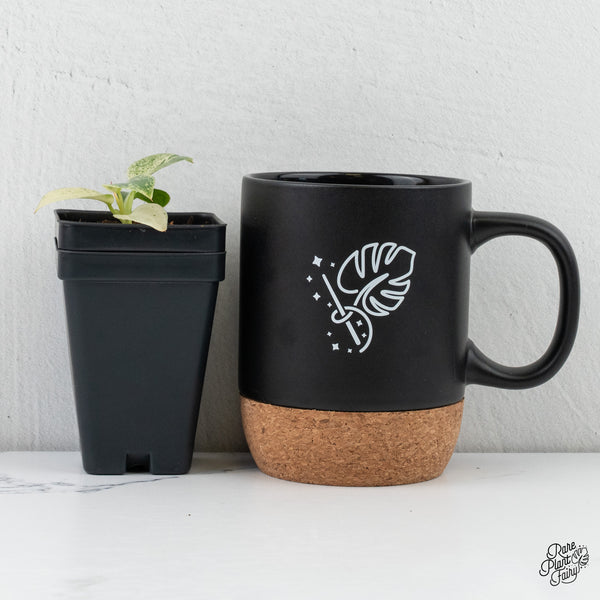 Philodendron Ilsemanii *Kunzo Lineage* (wk4-C)