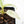Philodendron Ilsemanii *Kunzo Lineage* (wk20-E)
