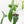 Philodendron longilobatum ‘Lelano Miyano’ (wk39-L180)