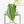 Philodendron Mamei Albo Variegated (wk35-L196)