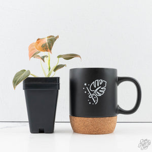 Philodendron melanochrysum orange variegated (wk39-L303)