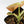 Philodendron melanochrysum orange variegated (wk41-L340)