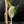 Philodendron Micans Albo/Pink Variegated (wk44-L406)
