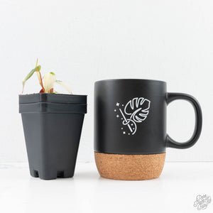 Philodendron Micans Albo/Pink Variegated (wk29-A)