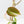 Philodendron Micans Albo/Pink Variegated (wk36-L240)