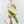 Philodendron Micans Albo/Pink Variegated (wk36-L240)