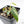 Philodendron Micans Albo/Pink Variegated (wk22-F)