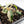 Philodendron Micans Albo/Pink Variegated (wk22-F)