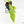 Philodendron radiatum mint variegated (wk15-E)